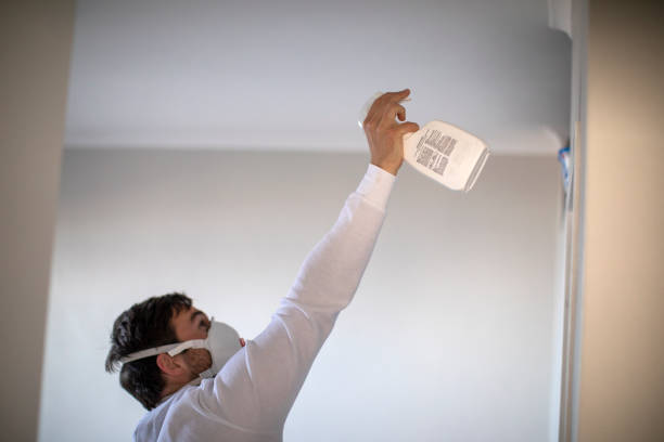 Best Local Mold Removal Service  in Woodcrest, CA