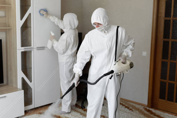 Best Mold Cleaning Services  in Woodcrest, CA