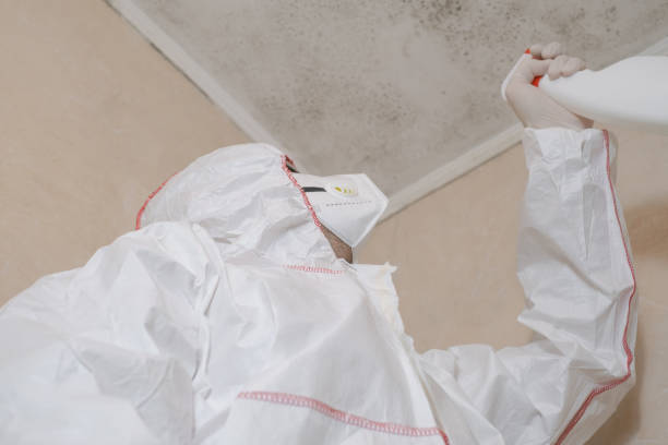 Best Mold Testing  in Woodcrest, CA