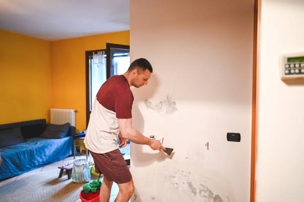 Best Certified Mold Removal  in Woodcrest, CA